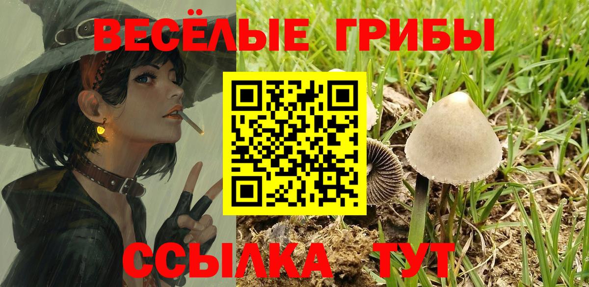 Екатеринбург  Галлюциногенные грибы прущие грибы  Вход с VPN 