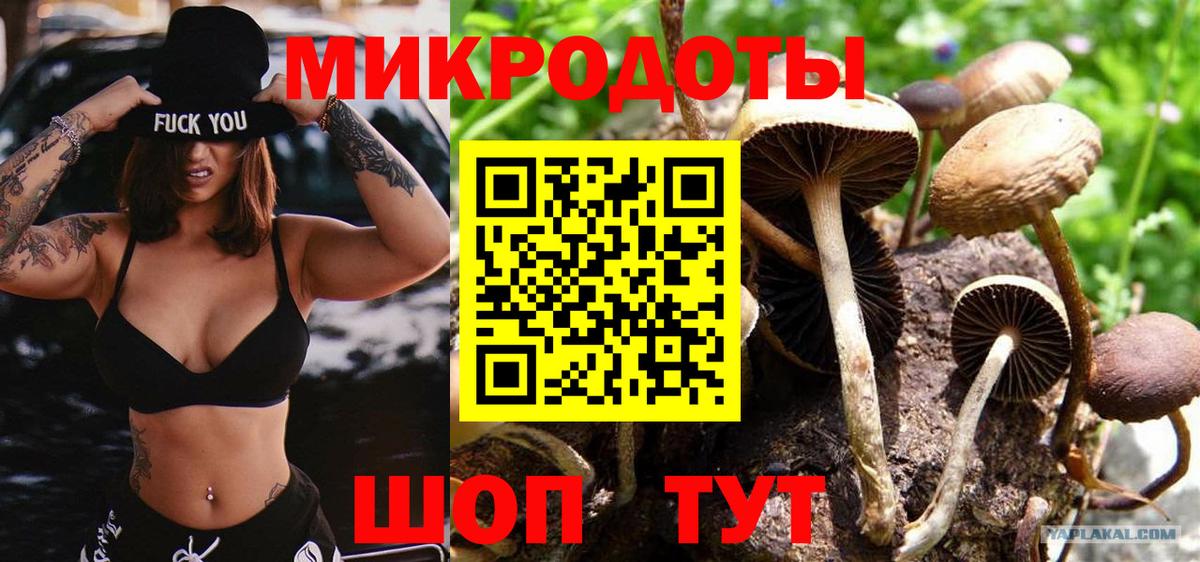 Галлюциногенные грибы MAGIC MUSHROOMS Екатеринбург